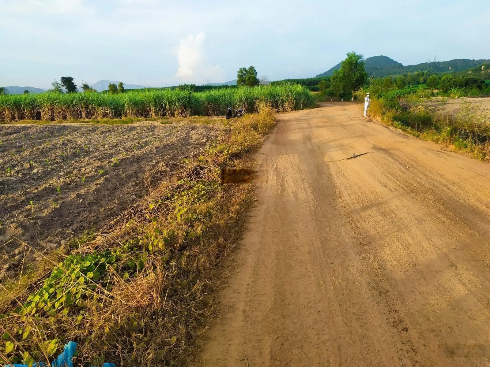 Bán 4 sào đất chính chủ Hàm Tân, Bình Thuận, lô góc 2 mặt, đường 5 mét có quy hoạch nhựa giá 1,2 tỷ