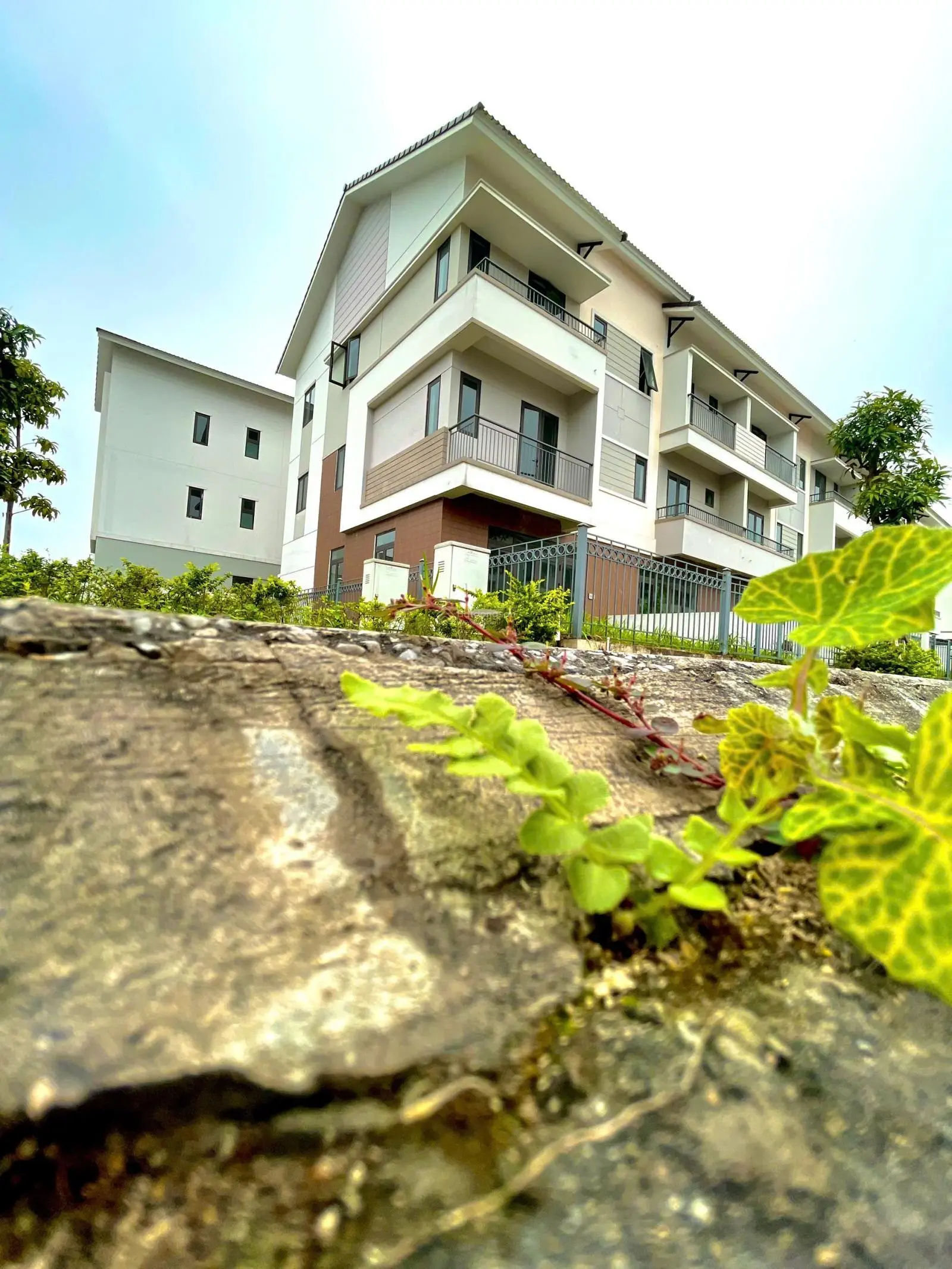 Bán shophouse 120m2 tại VSIP- Từ Sơn, Bắc Ninh, giá siêu hời chỉ với 50tr/m2. Gía gốc chủ đầu tư.