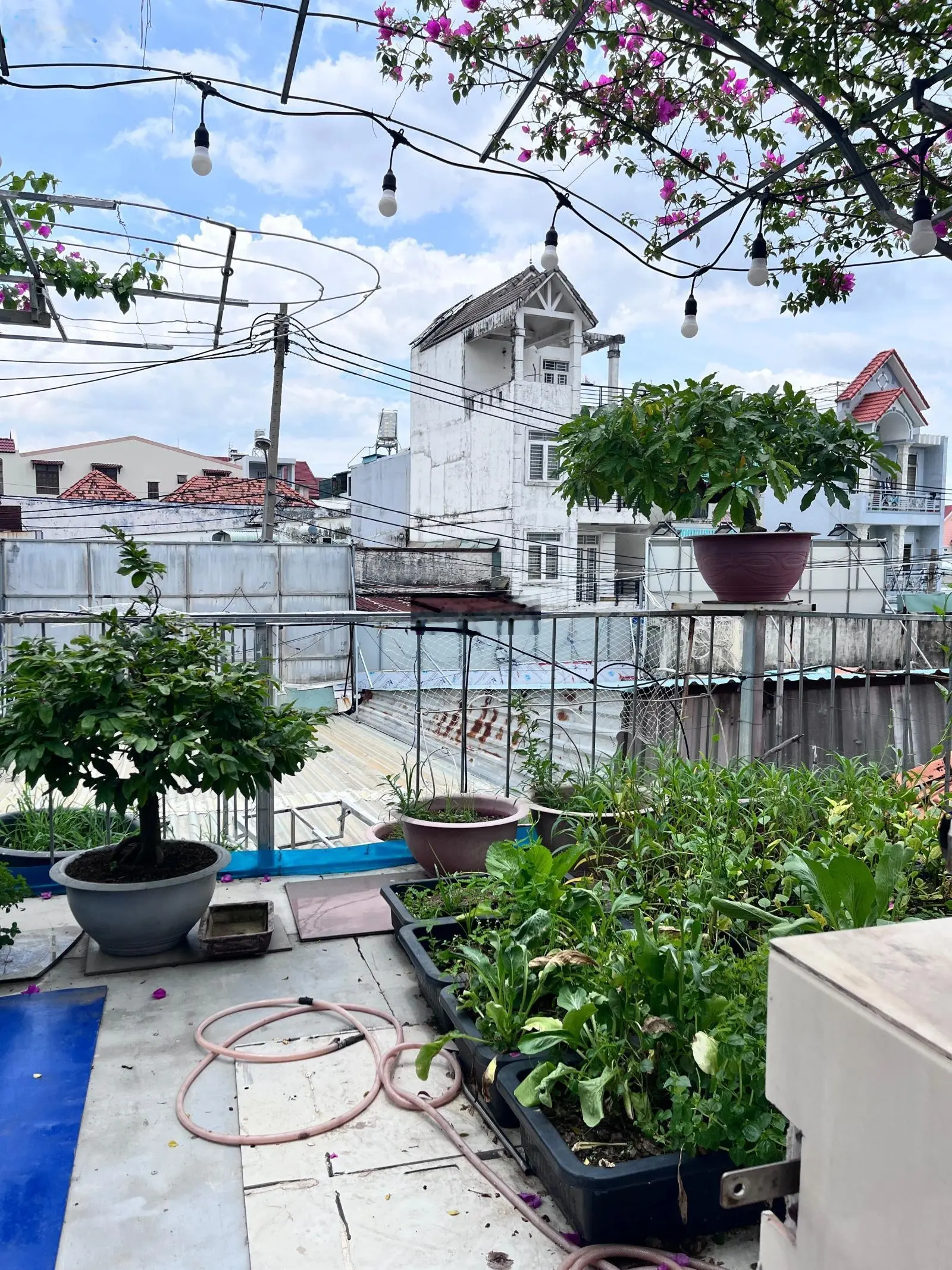 Nhà phố mặt tiền 157m2 (4.5x34) Đình Phong Phú, Quận 9, gần Lê Văn Việt