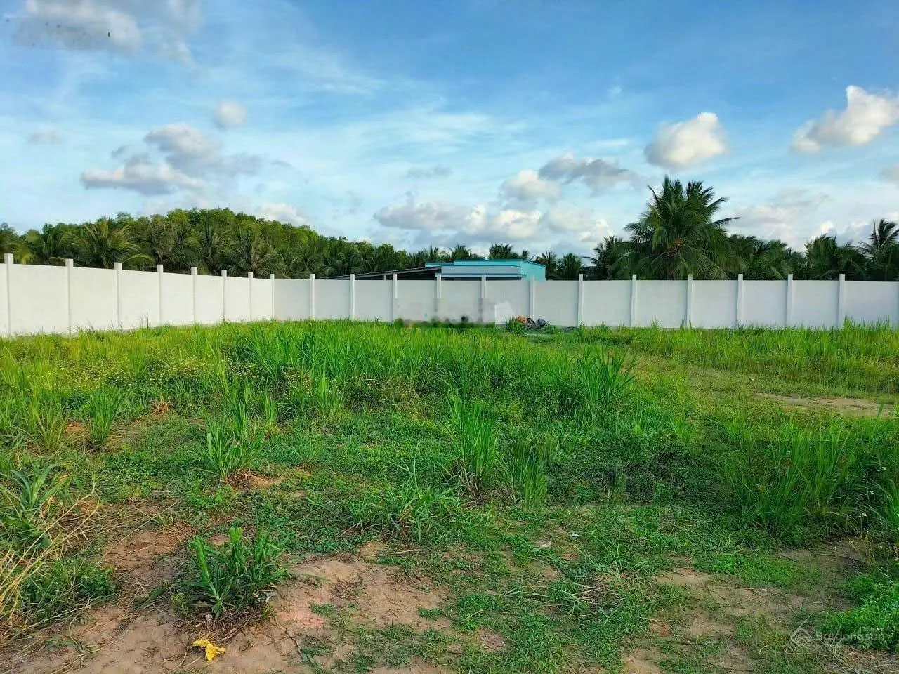 Bán đất đầu tư MT Lê Thị Kim, Xuân Thới Sơn, Hóc Môn, gần tiểu học Dương Công Khi, 100m2/2 tỷ, SHR