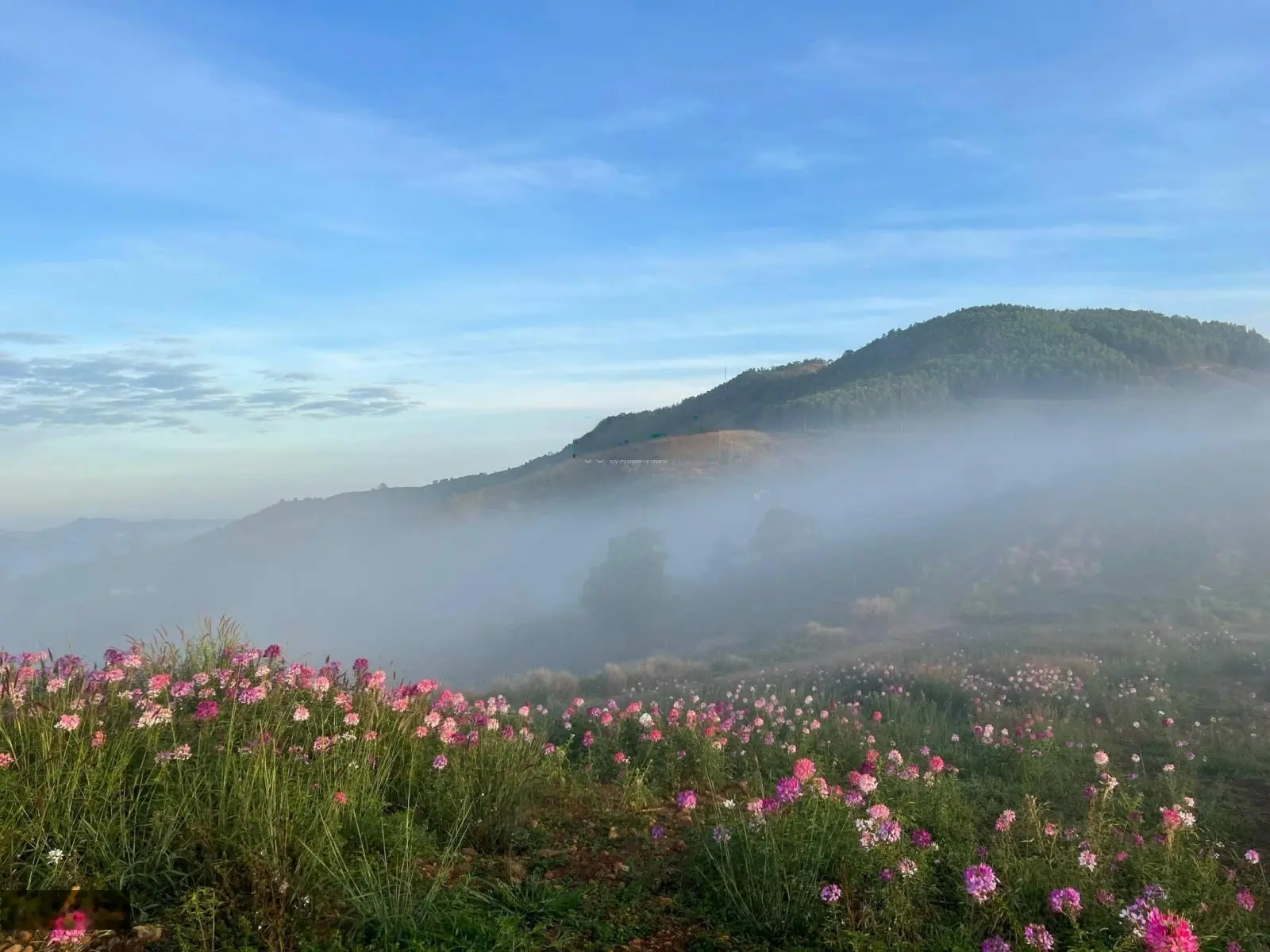 Bán lô đất 1000m2 có 100m2 thổ cư SHR, view săn mây tuyệt đẹp tại Lộc Thành-cách TP.Bảo Lộc chỉ 15P