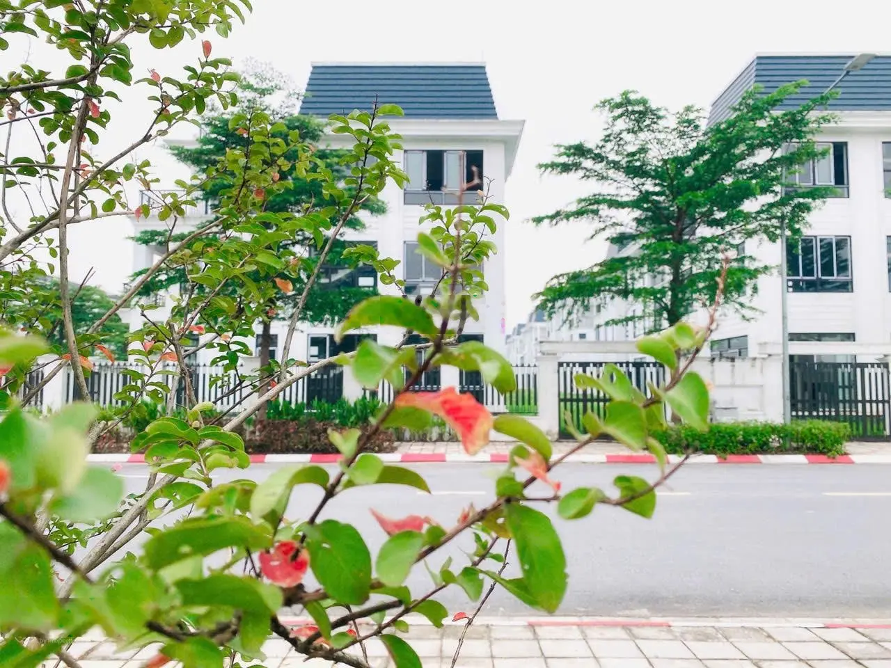 Chính chủ cần bán G.Ấ.P biệt thự đơn lập 375m2, giá chỉ 48tr/m2 tại HUD Mê Linh Central