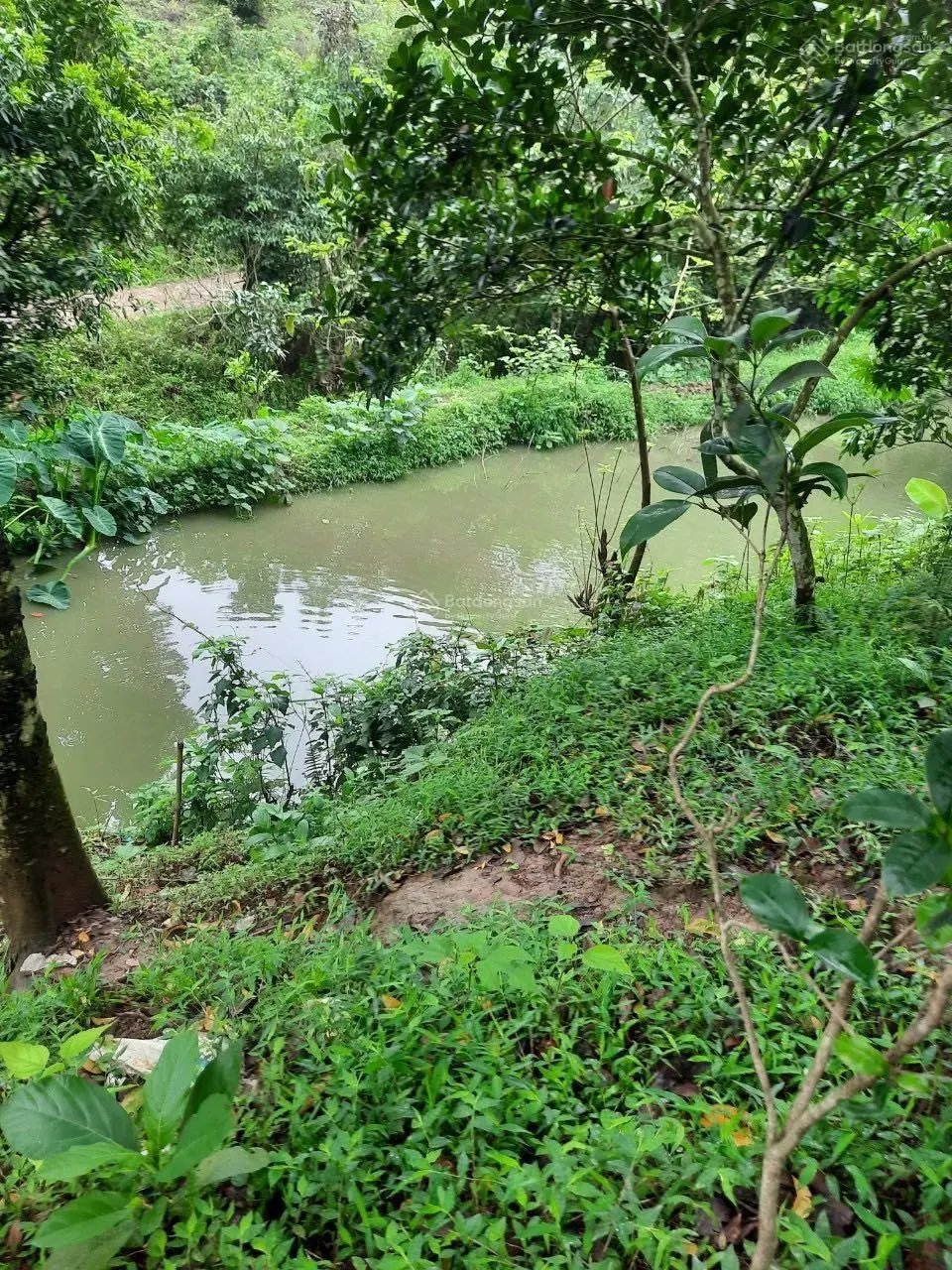 Chuyển nhượng lô đất 22000m tại Lương Sơn, Hoà Bình, LH: 0989 342 ***
