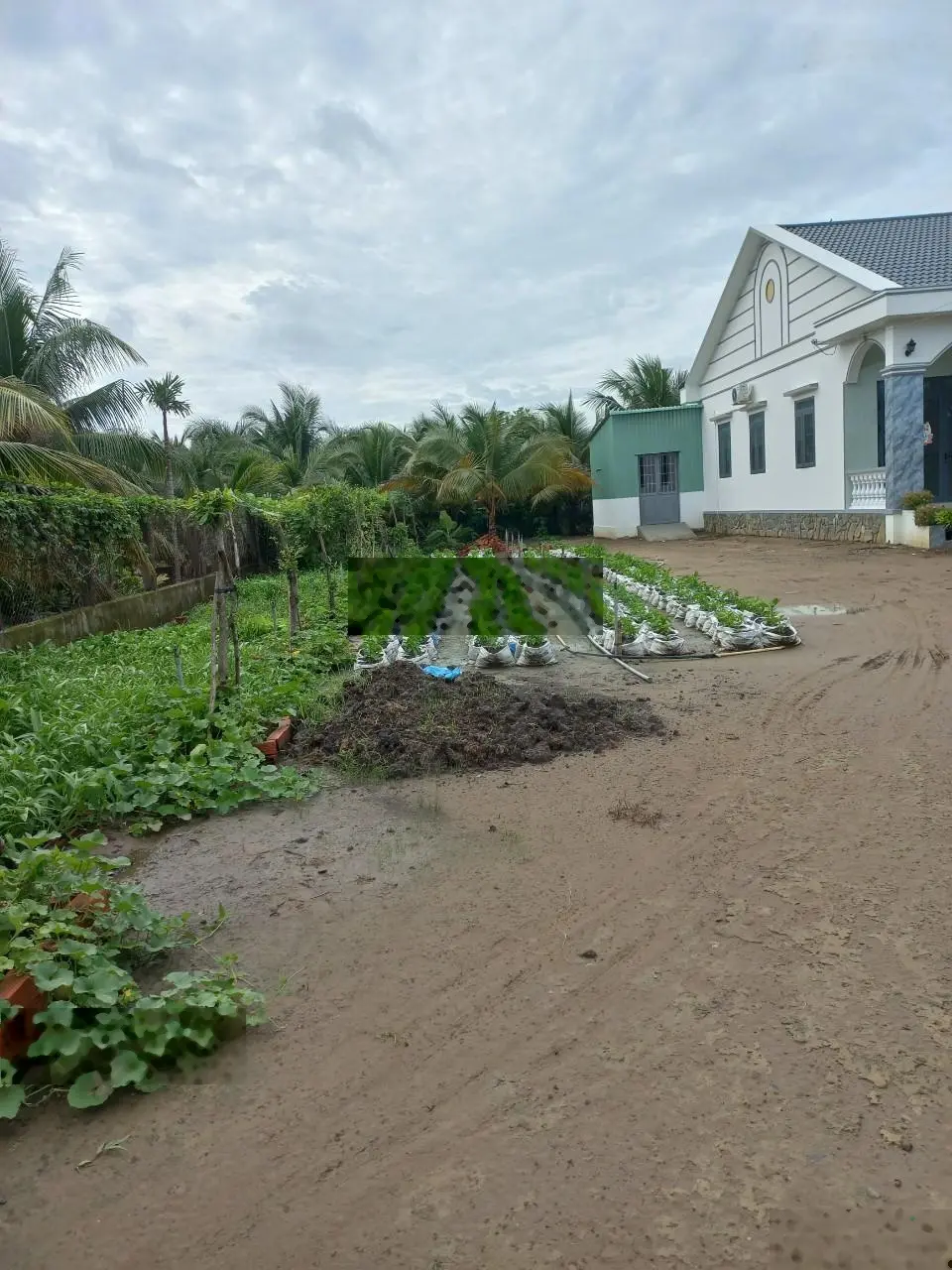 Bán biệt thự vườn - vườn cây Châu Thành, Tiền Giang, ngay trạm thu phí cao tốc Trung Lương