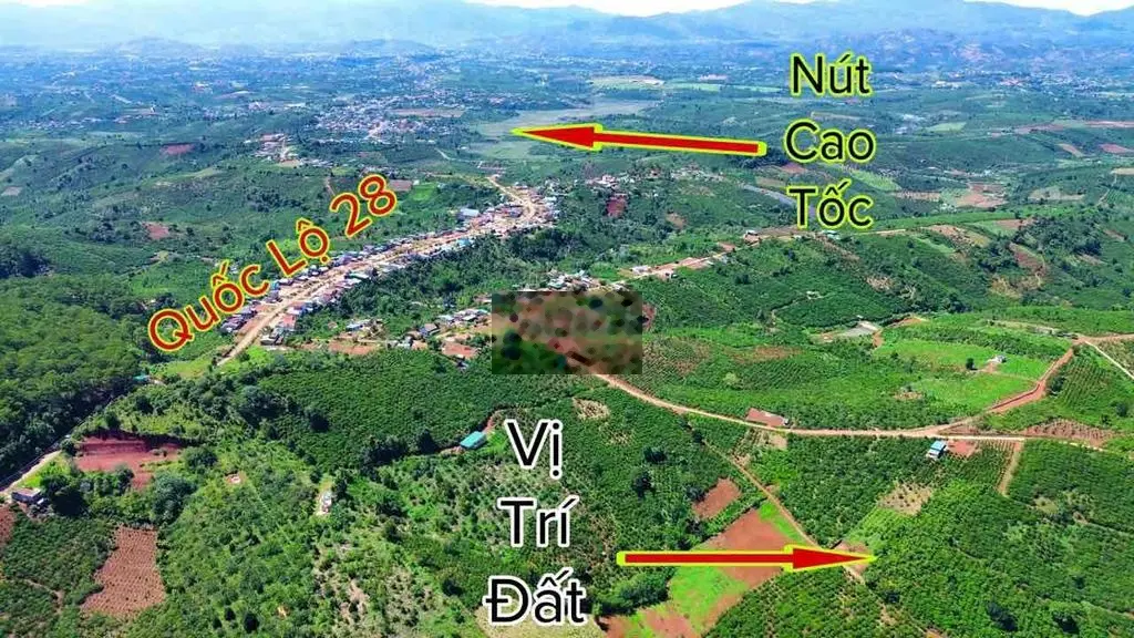 Đất sát bên Quốc Lộ - Cao Tốc Di Linh. Giá cực tốt, cách trung tâm 15p