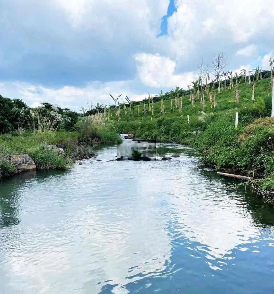Cần bán lô đất trên giấy tờ 100% công khai tại Lộc Đức, Bảo Lâm, Lâm Đồng. Diện tích 100m2