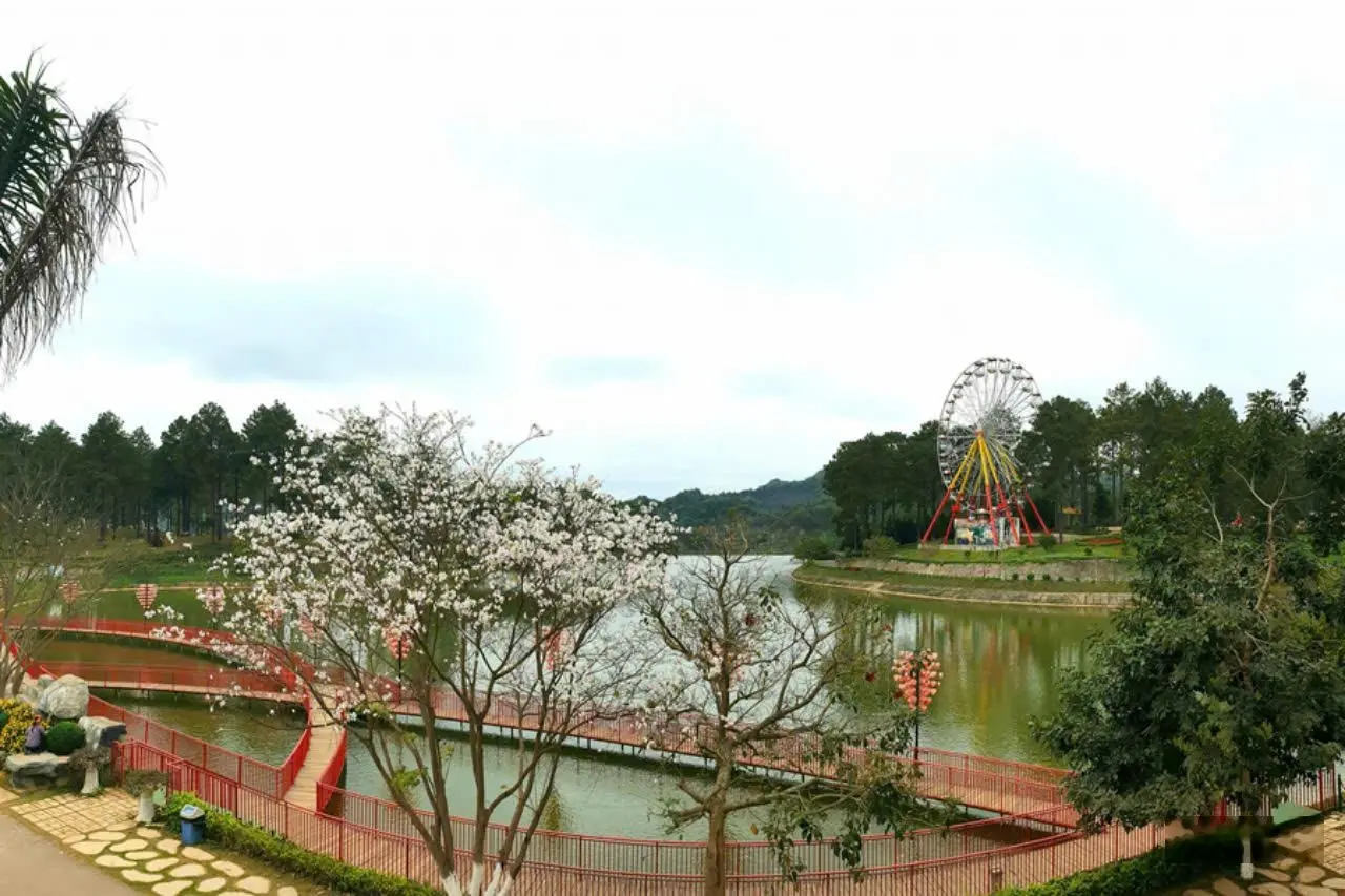 Bán đất du lịch Môc Châu cạnh rừng thông Bản Áng Full thổ cư phù hợ làm Homestay xây khách sạn.