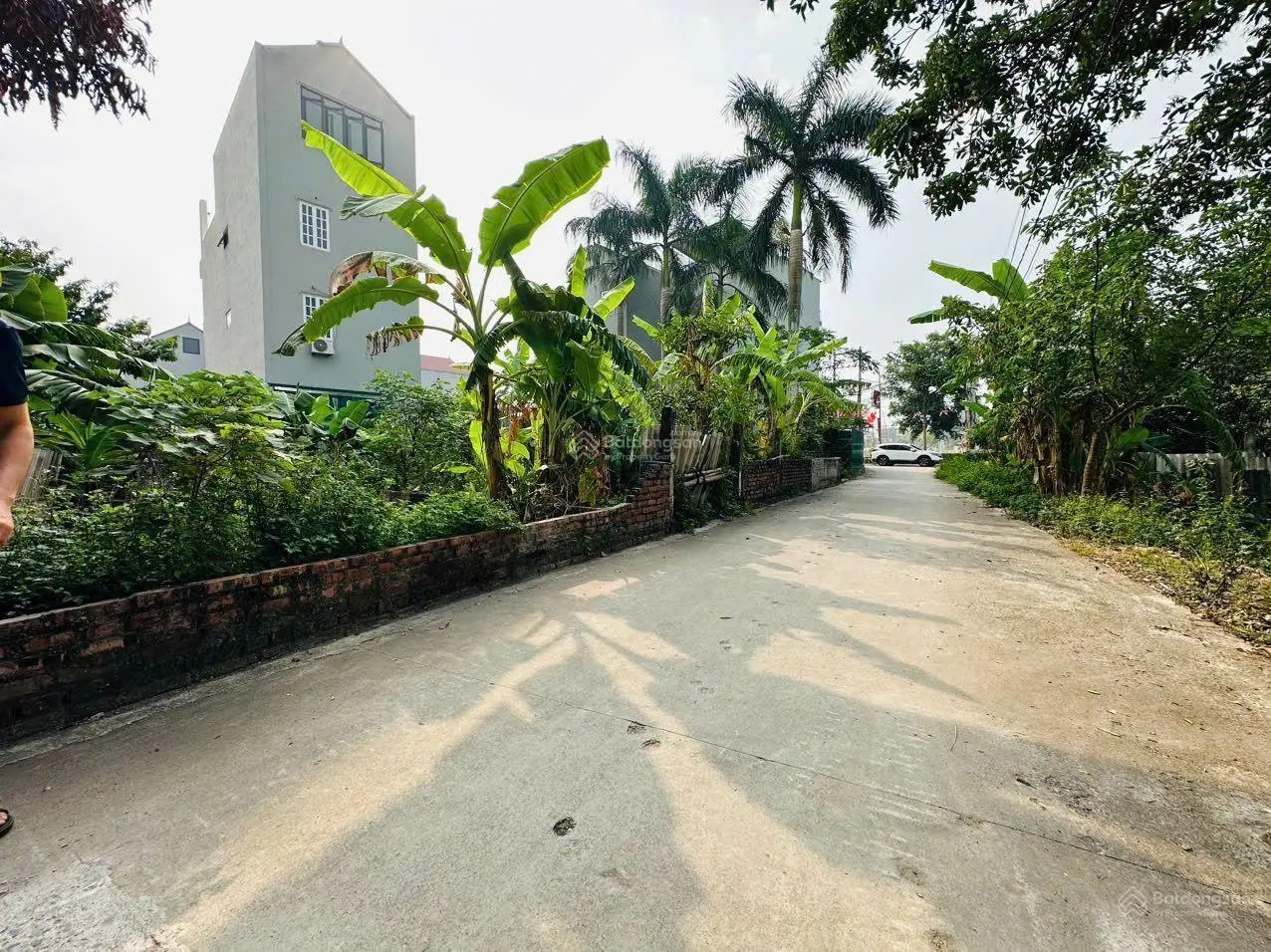 CC bán đất bìa làng 66m2 mặt công viên Bắc Hồng, gần Vân Trì - Cổ Dương giá cực chất 78 triệu/ m2
