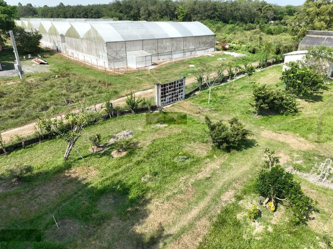 Bán đất 5146 m2, cách khu Safari 2 km, xã An Nhơn Tây, Củ Chi
