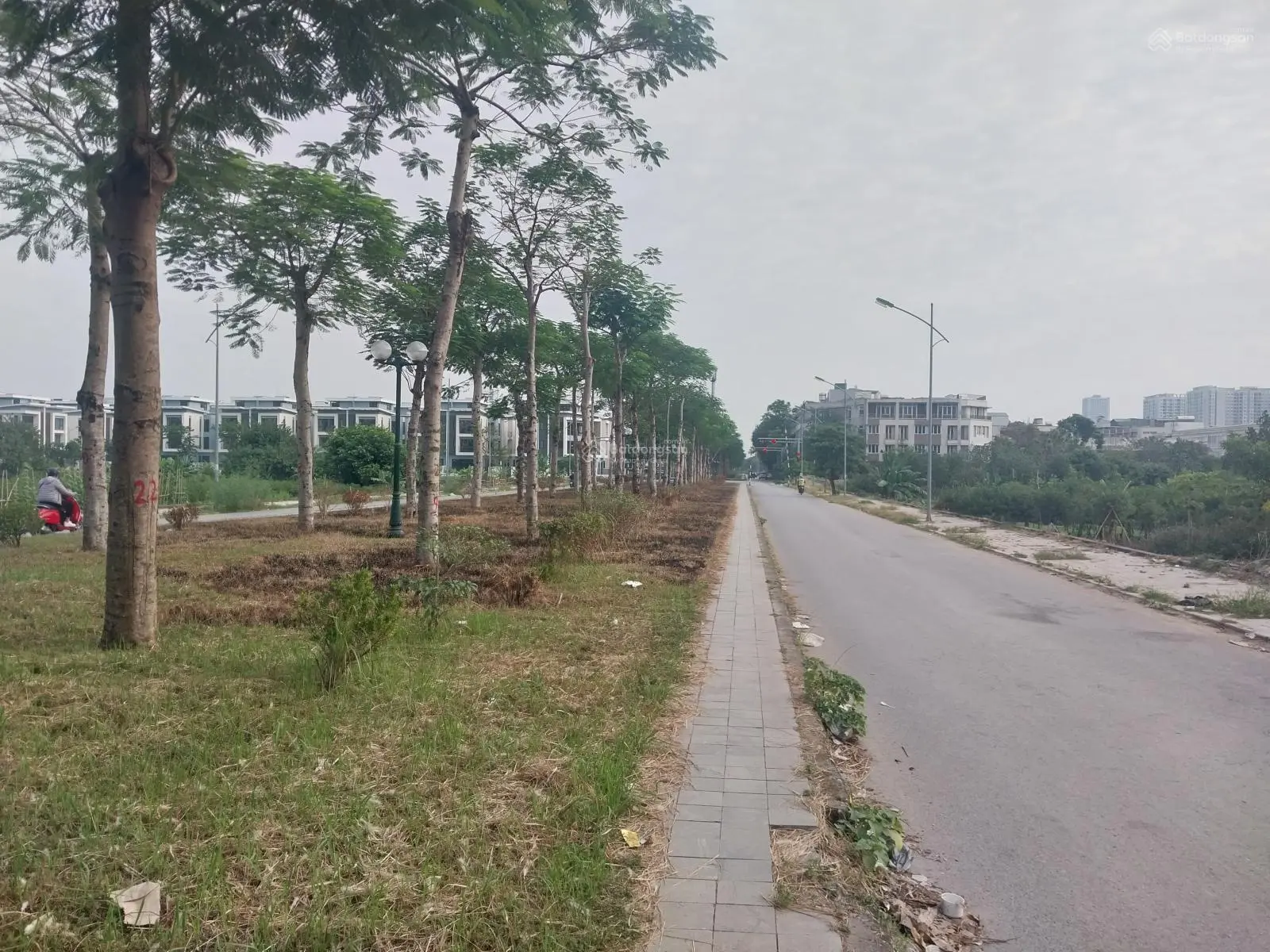 Bán đất Liền Kề mặt đường đôi 30m nối Lê trọng Tấn, Công viên Thiên Văn Học Hà Đông 50m2 (14,85 tỷ)