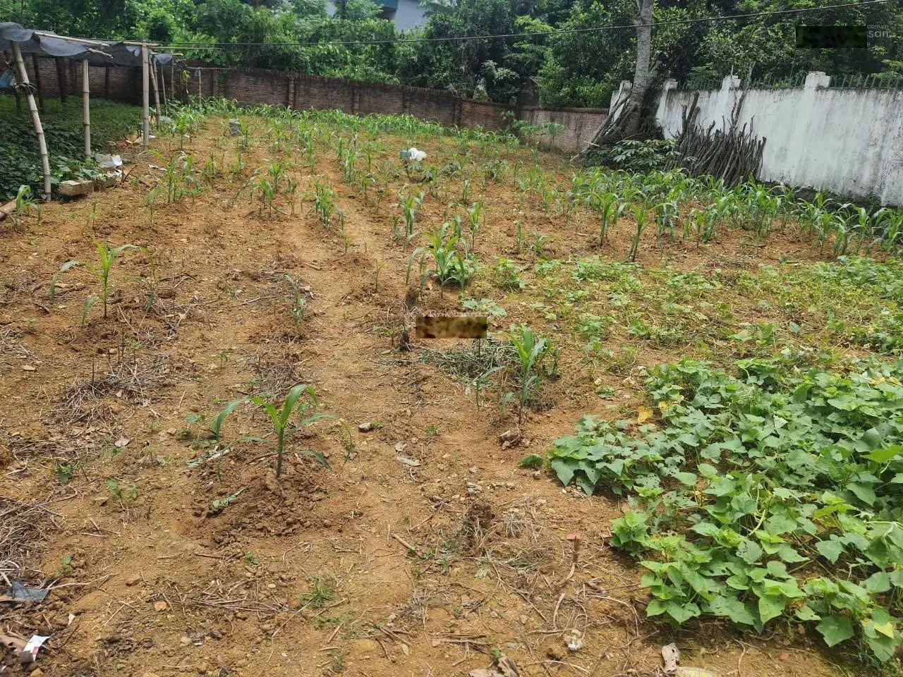 Cần bán 476m2/100m2 thổ cư. Lô góc mặt tiền 13m. Vị trí kinh doanh. Mặt trục chính suối ngọc giá rẻ