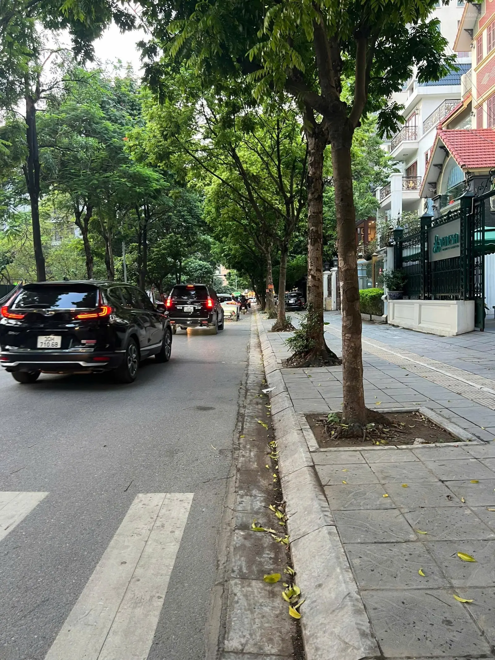 Bán nhà mặt phố Trương Công Giai 292m2 thổ cư, mặt tiền 12m, sổ đỏ vuông đẹp, 118 tỷ