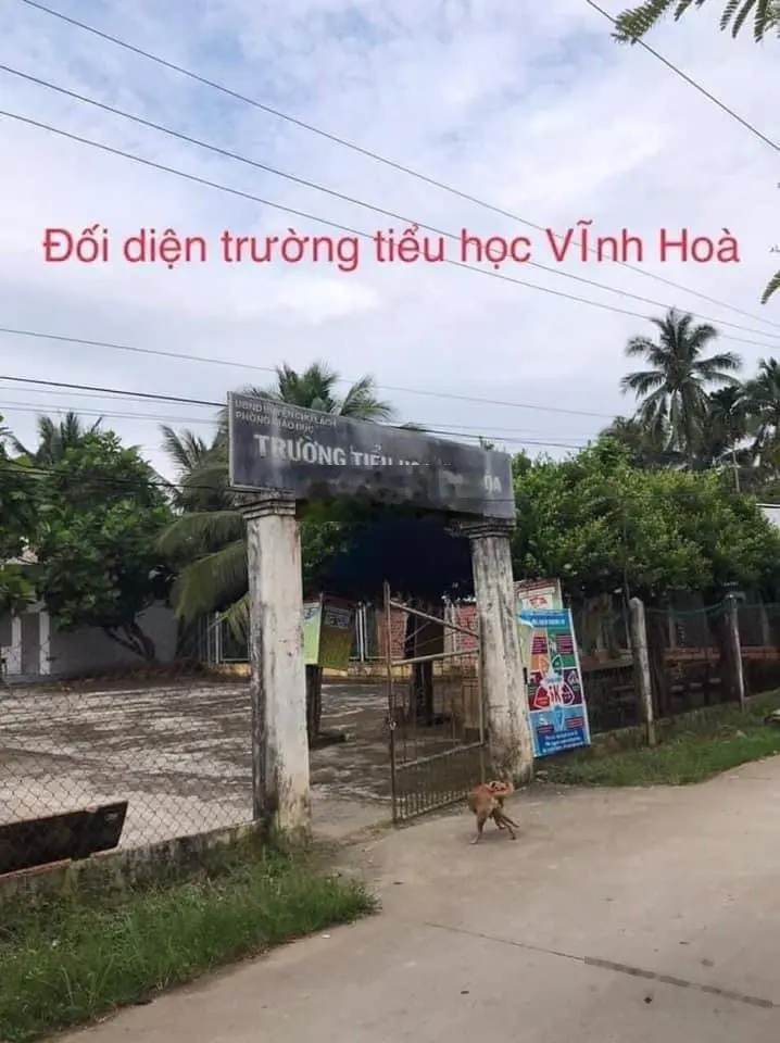 Bán đất Xã Vĩnh Hoà, Huyện Chợ Lách, 6 công, 4.5 tỷ, gần chợ Ba Vát