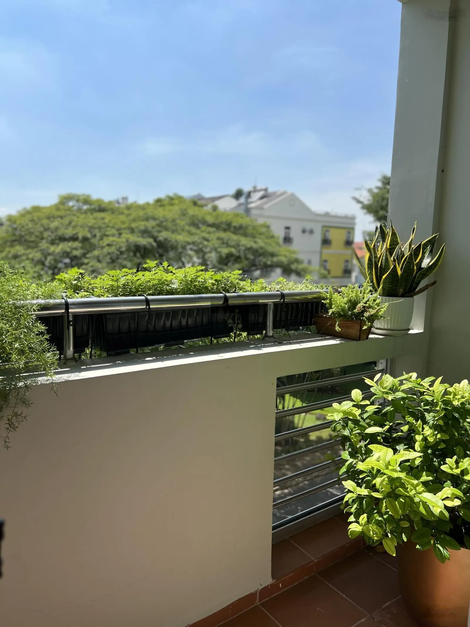 Bán gấp căn hộ Nam Phúc diện tích lớn có sân vườn giá tốt nhất thị trường LH: 0917 522 ***