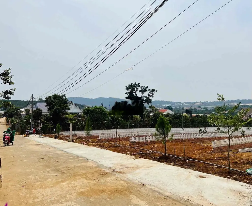 290m2 tc ngay khu dân cư đông đúc bán nhanh xoay tiền đi nước ngoài