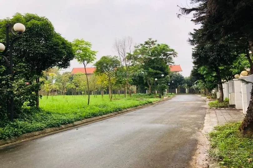 Biệt thự căn góc, liền thửa Đông Anh, giá sốc. Gọi chính chủ trang bìa!