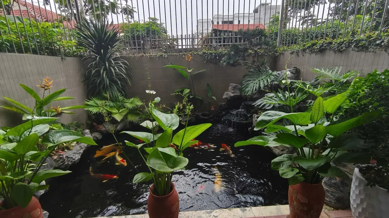 Sân vườn Bể cá Koi Biệt thự phố Tư Đình 120m2 đón cầu Trần Hưng Đạo LH 0333319937