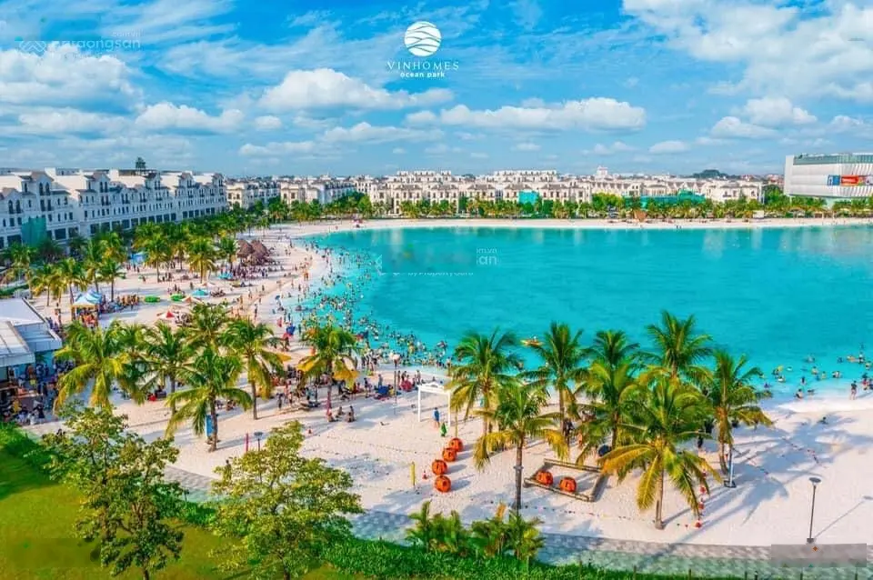 Cơ hội để sở hữu căn hộ 1PN + 1 The Pavilion diện tích 49m2 chỉ 2,3 tỷ tại Vinhomes Ocean Park 1