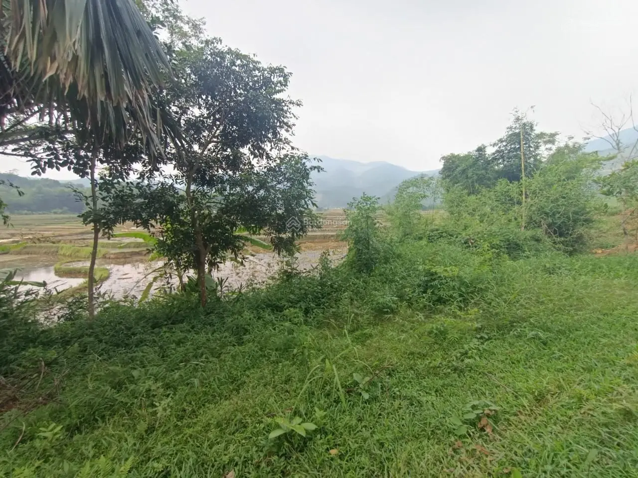 Bán đất tại Kim Sơn, Kim Bôi, Hòa Bình. Diện tích 7000m2, giá thương lượng