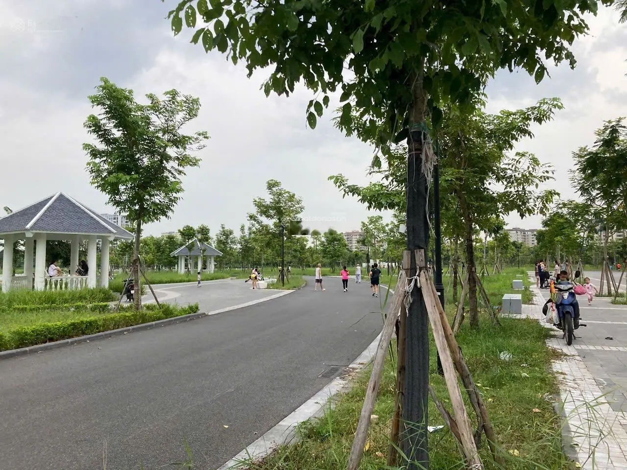 Bán độc quyền căn biệt thự khu Paml Garden (khu VIP) KĐT Việt Hưng, Long Biên