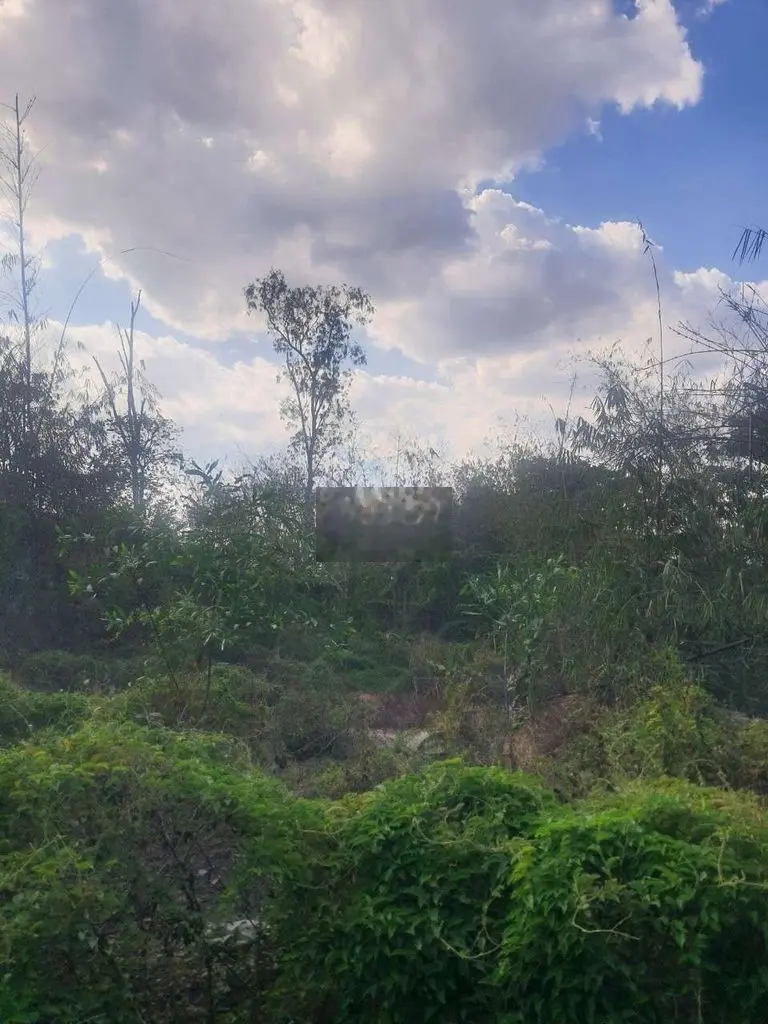 Đất kdc tân binh, bình minh, TB. 600m2 chỉ 1,4 tỷ.