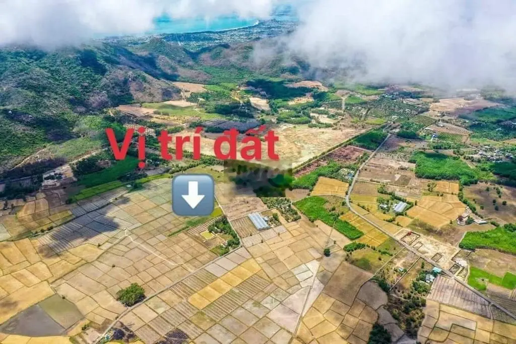 BÁN 689M2 315M TC THỊ TRẤN PHƯỚC HẢI - ĐẤT ĐỎ , NGANG 32M GIÁ 3,7 TỶ