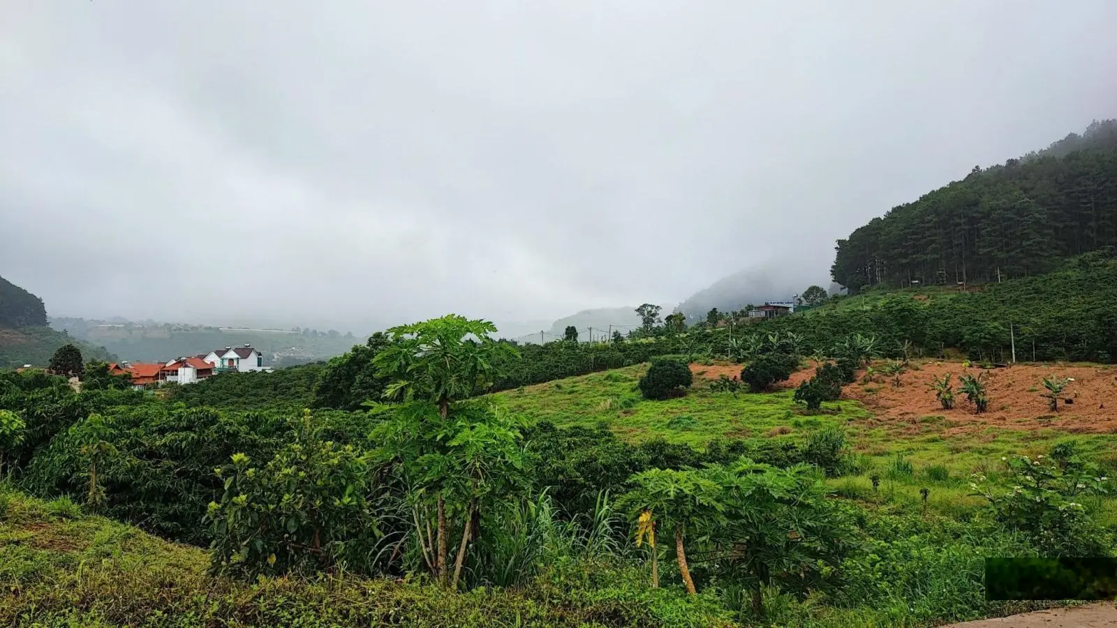 Bán lô đất cách trục 725 chỉ 600 m view thông TT xã Mê Linh sát cạnh Đà Lạt giá hơn tỷ