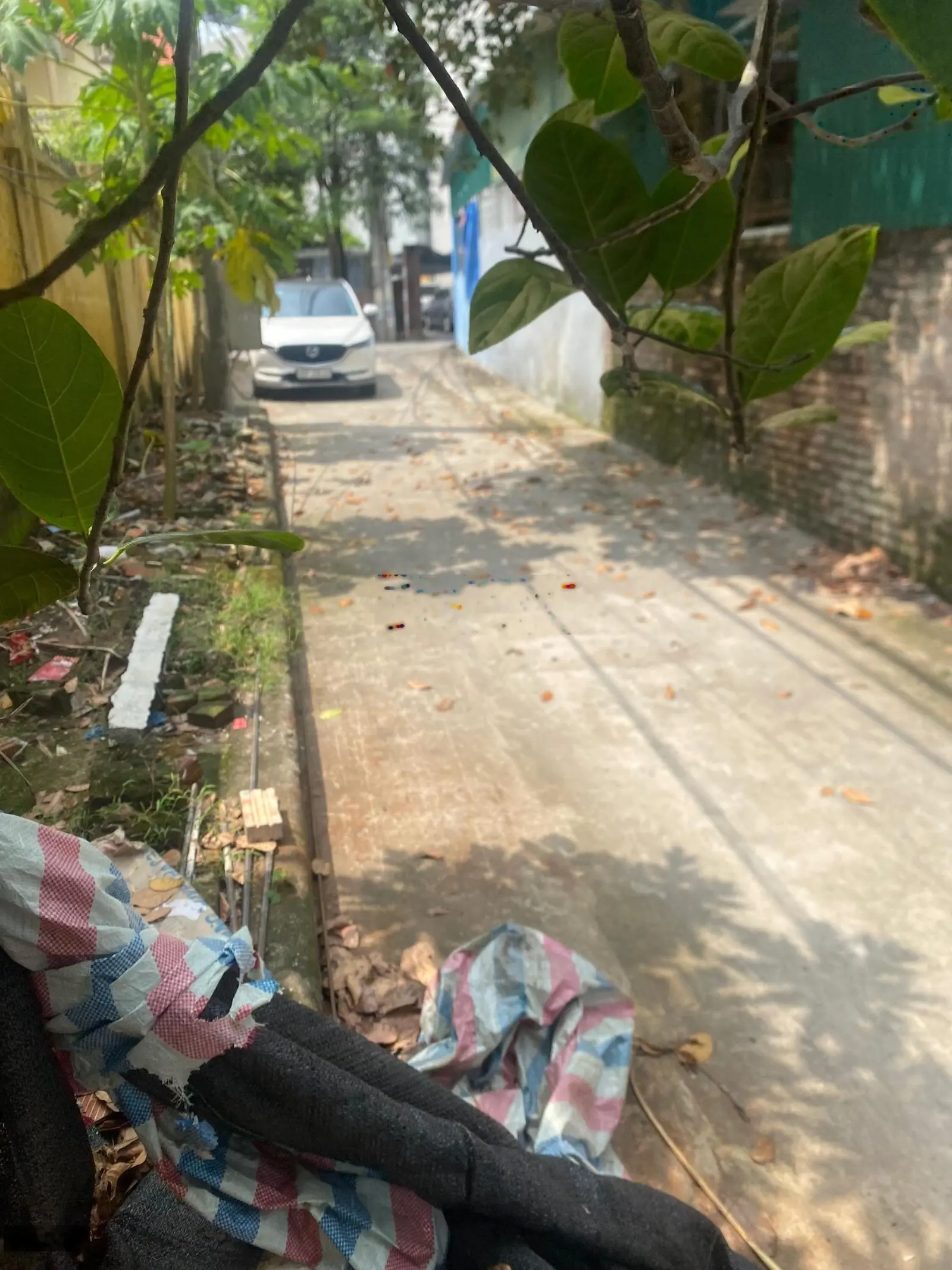 55m2 đất Thạch Bàn - ngõ ô tô thông nối đường Cổ Linh cũng như QL5 - thông số vàng