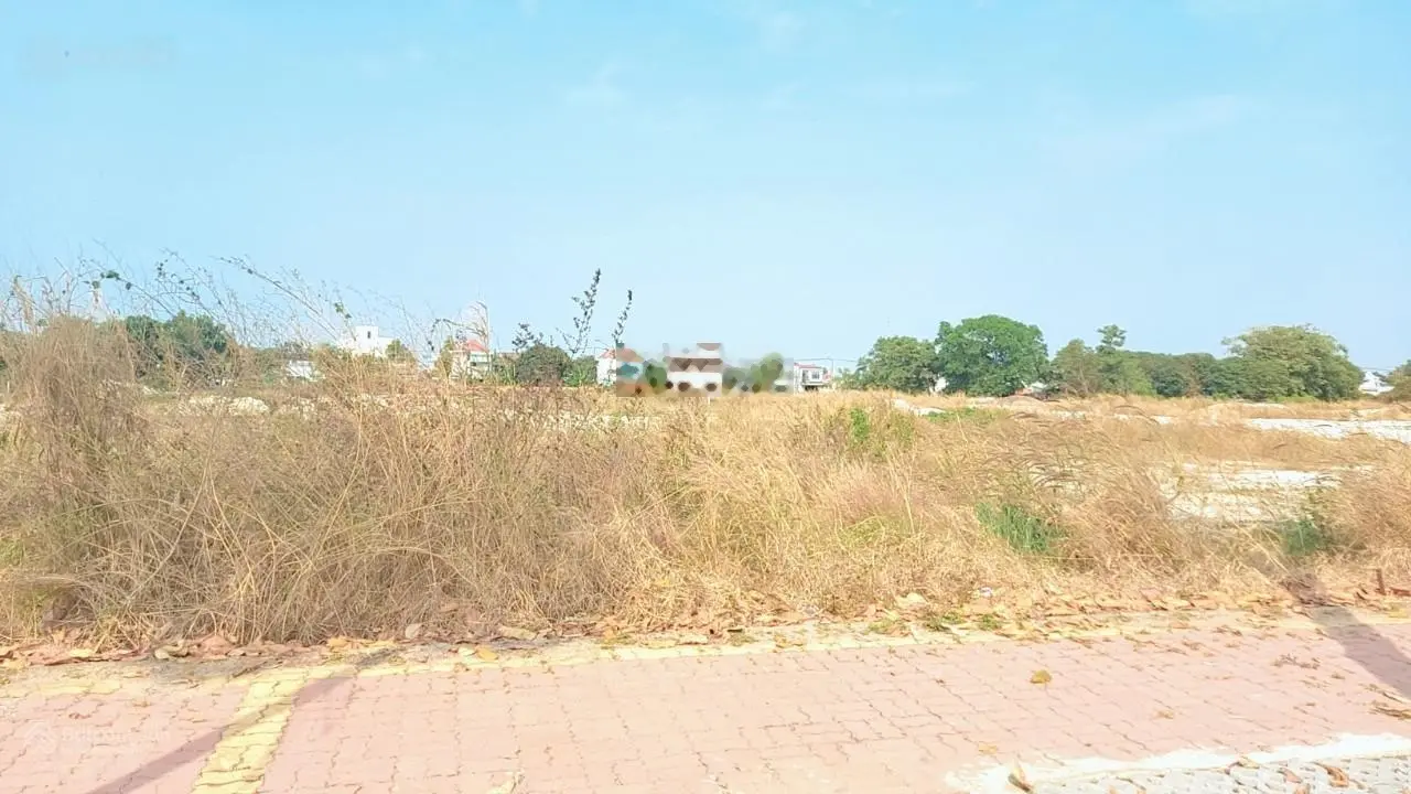 Bán đất thị trấn Long Điền, Bà Rịa Vũng Tàu DT 100m2, ở ngay khu biệt thự, giá 2,3 tỷ