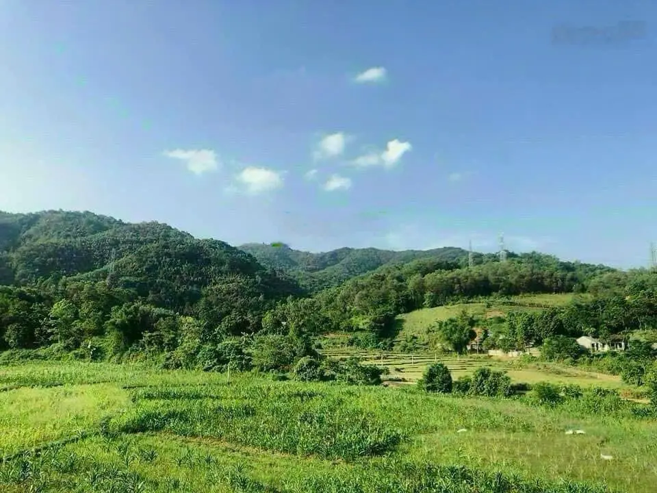 Bán đất nghỉ dưỡng khu vực Lương Sơn - Hoà Bình