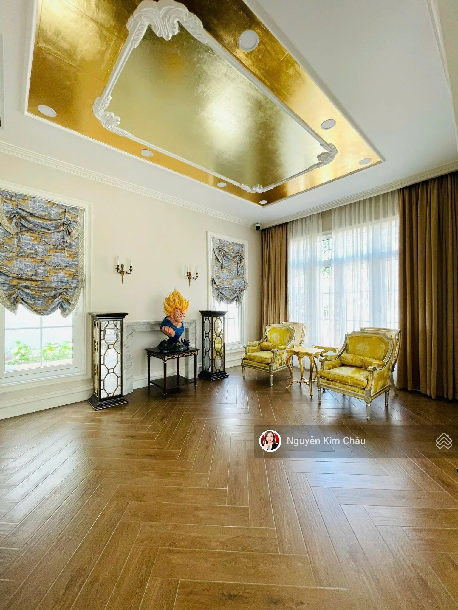 Giảm Sốc 2 Tỷ Bán Nhanh Biệt Thự View Sông KĐT VCN Phước Hải Đẳng Cấp & Sang Trọng! 330m2