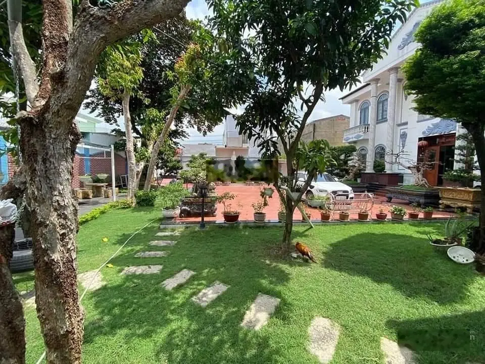 Biệt thự sân vườn hồ bơi ngã 4 Hòa Lân 28*43m LH 0909 036 ***