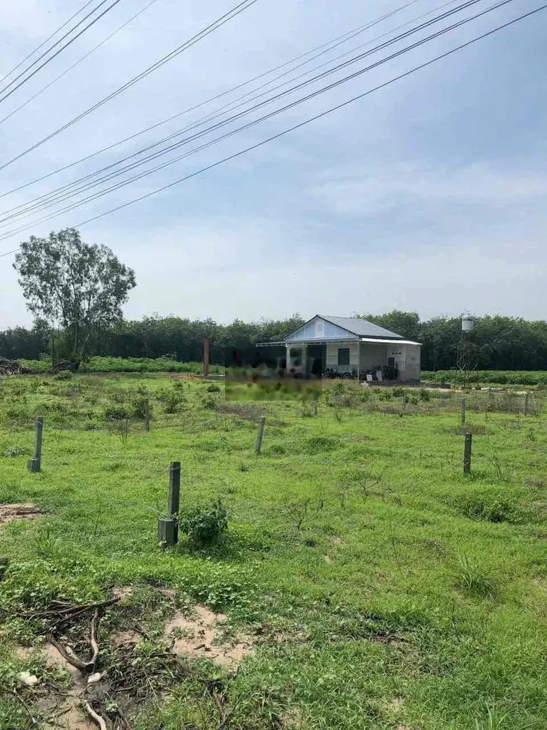 Đất nền. Tây Ninh 159m2