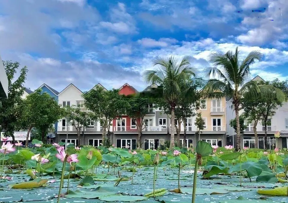 Bán nhà Park Riverside - Khu giai đoạn 2 - Nhà Thô
