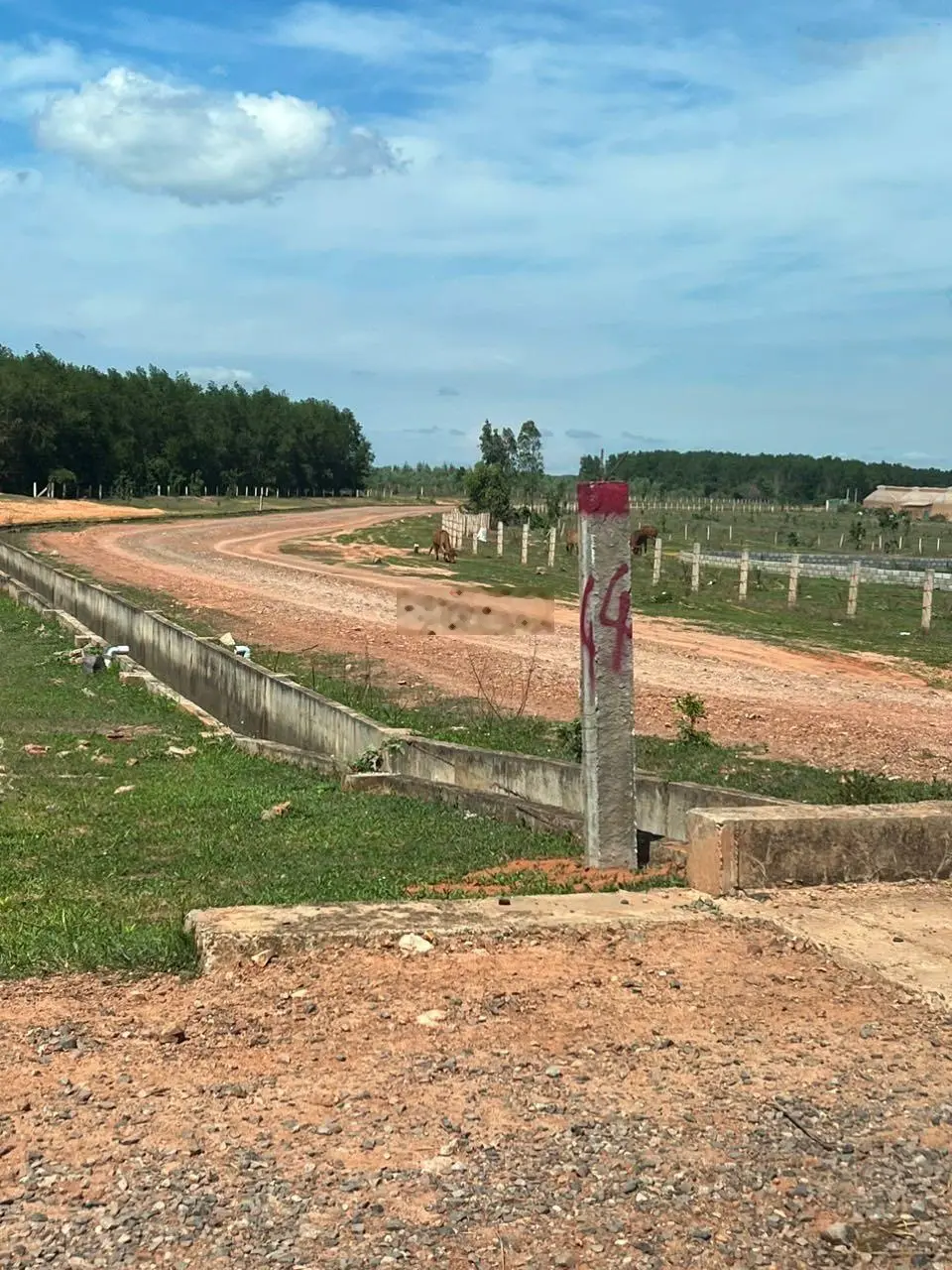 1tr2/m2 mô hình nhà vườn khép kín công nghệ cao khu vực Farm Hoà Thắng,canh tác 3 năm,lấy quả ngây
