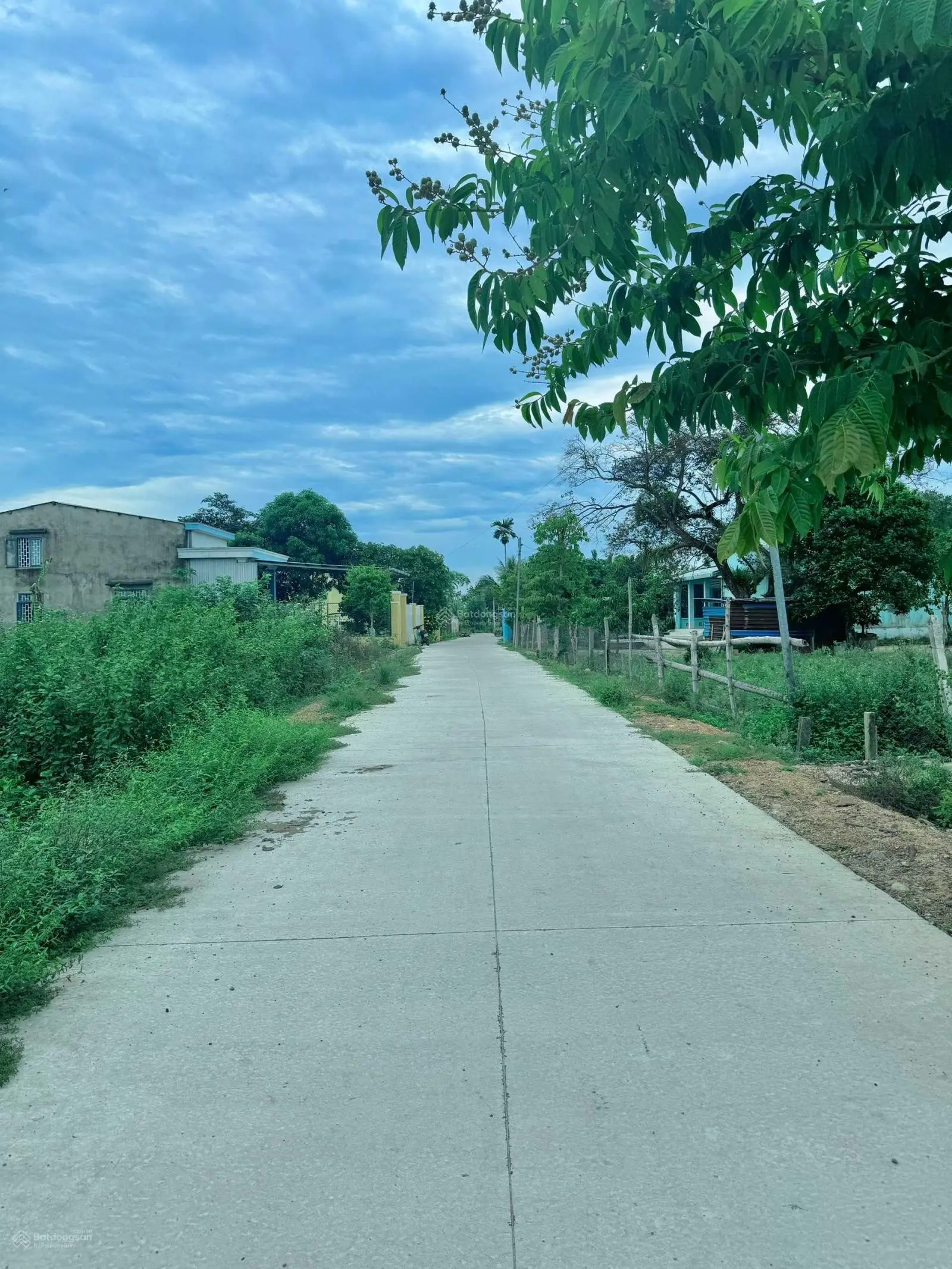 Đất vùng ven Đà Nẵng - tài chính thấp - đường ô tô - sẵn sổ
