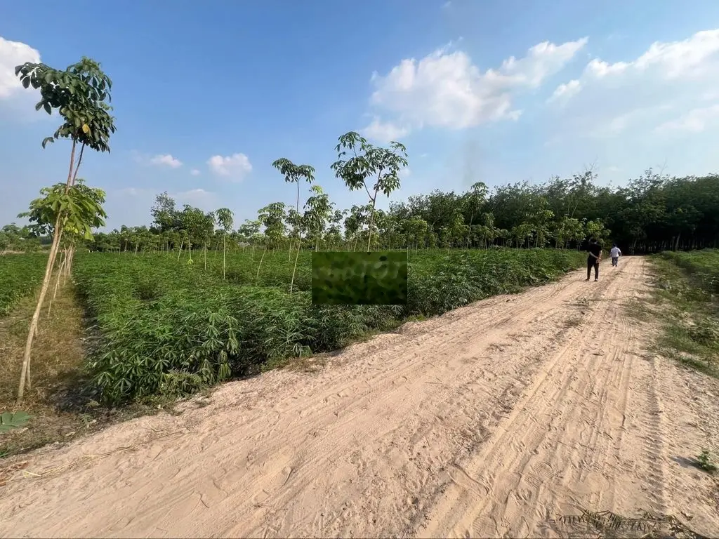đất view suối siêu đẹp tại tp. tây ninh - chỉ từ 299 triệu