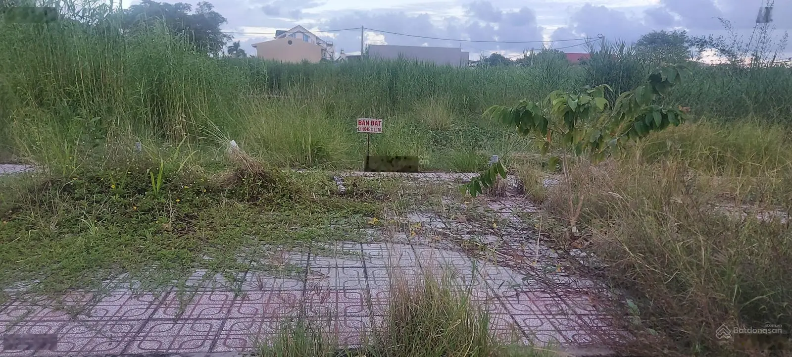 Bán đất trong khu dân cư Hoàng Tâm tại xã Lý Văn Lâm, TP. Cà Mau