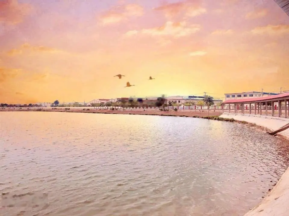 Bán 01 nền duy nhất view hồ - 175m2 (2tỉ987tr) - SHR - Đầu tư thông minh