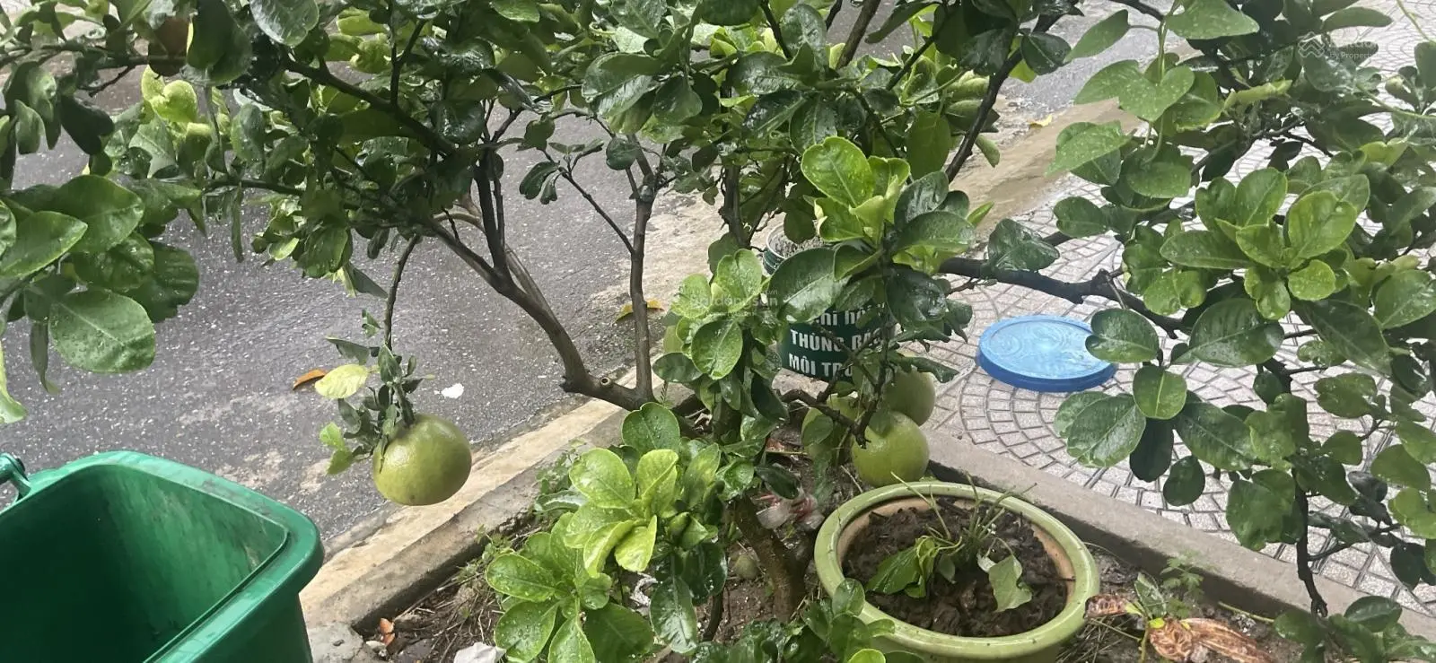 Bán nhà 2 tầng 2 mê MT đường Lưu Nhân Chú- Khuê Trung- Cẩm Lệ