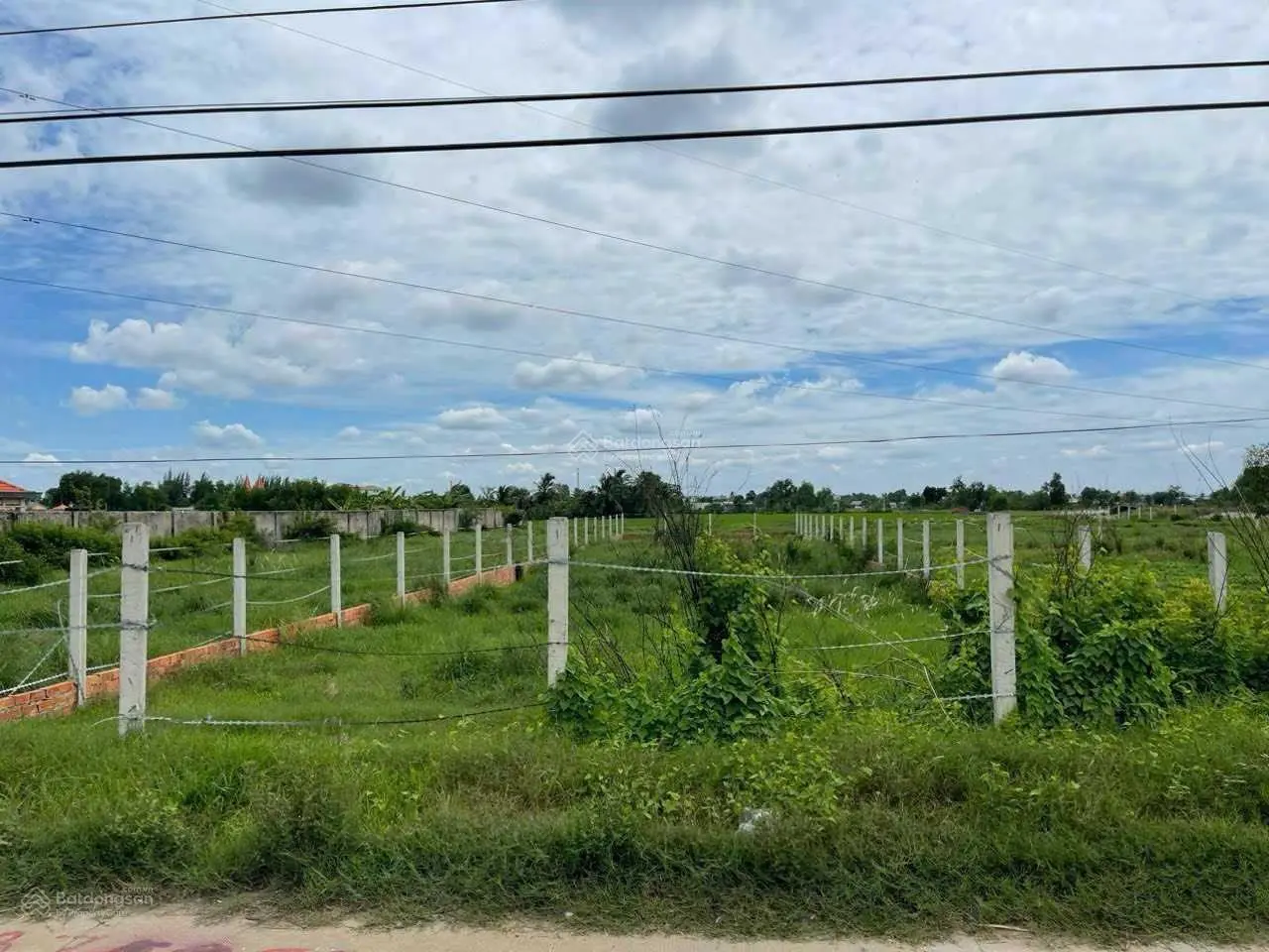 Cần bán nhanh 500m2 (10m x 50m) đất vườn, mặt tiền đường Nguyễn Thị Bài, SHR, giá rẻ chỉ 4,2tr/m2