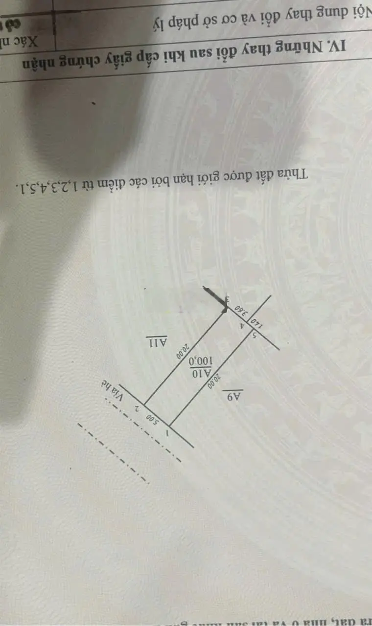 Hàng ngủ đông đấu giá Thế Trạch - Mai Đình - Sóc Sơn - Hà Nội