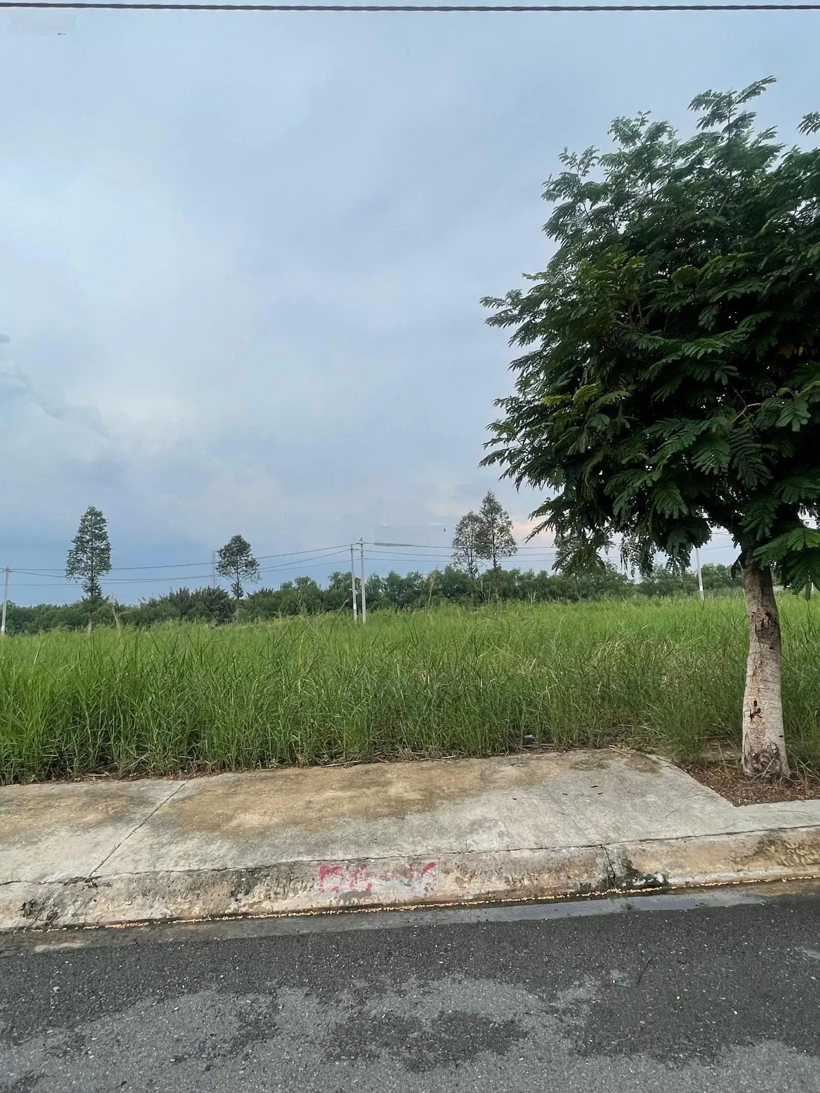 Đường số 1 DA Saigon Village, trục cổng phụ dự án, nền đất 80m2, sạch đẹp không hạ tầng, giá 1tỷ950