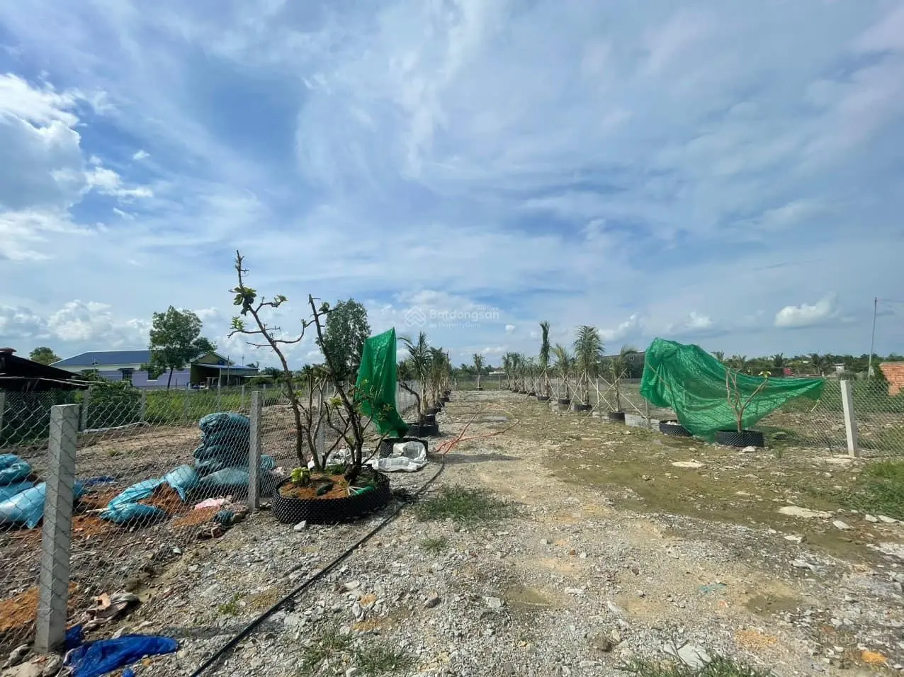 Cần bán mảnh đất vườn Cần Giuộc, đường xe hơi, sổ hồng riêng, kết nối Bến Xe Quận 8 chỉ 17km