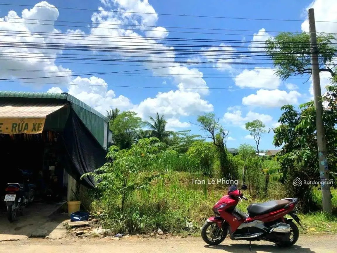 Bán đất MTĐ Vĩnh Phú, Ba Tri, Bến Tre, gần tiểu học Nguyễn Đình Chiểu, DT 132m2/SHR/475tr