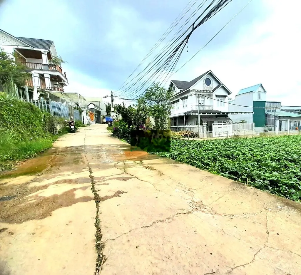 Bán đất sổ riêng khu dân cư trung tâm Đà Lạt, đi Hồ Xuân Hương hơn 2km