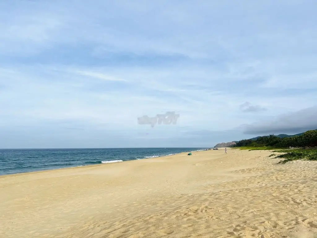 232m2 trực diện biển Hoài Hải xinh đẹp, giá đầu tư chỉ 8 triệu/m2