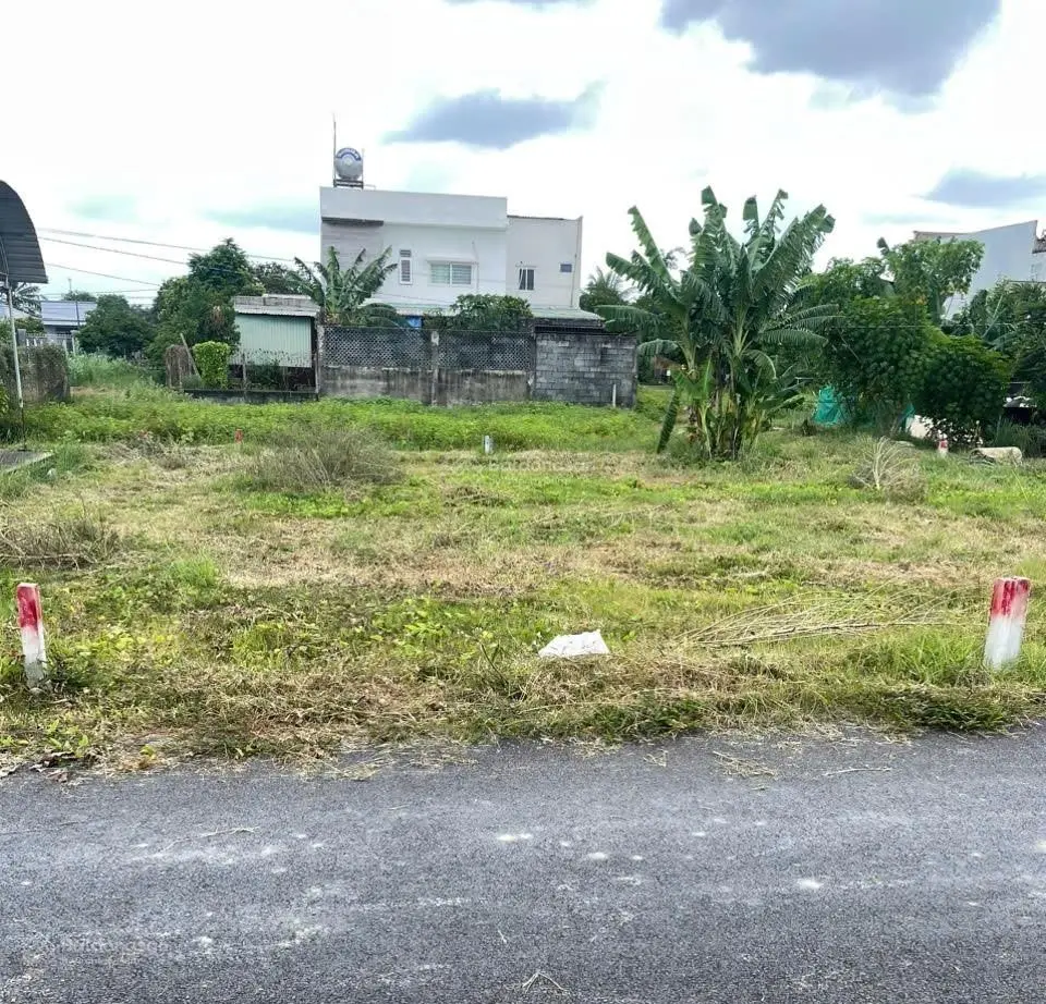 Bán nhanh lô đất 86m2, SHR, full thổ, Tân Thông Hội, Củ Chi, 1 tỷ 945