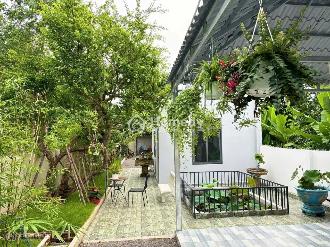 Nhà vườn 223m2, MT đường nhựa, SHR, Xã Tân Thông Hội, Giá 1 tỷ 150.