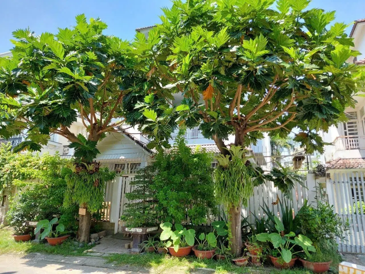 Biệt Thự Đặng Thùy Trâm (Bình Lợi) diện tích đất 240m2 5 tầng , giá 27,5 tỷ